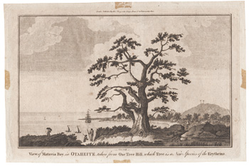 View of Matavia Bay, in Otaheite [Tahiti], taken from One Tree Hill, which Tree is a New Species of the Erythrina